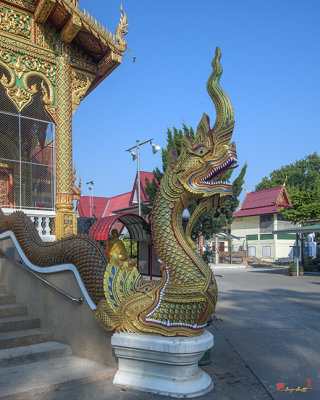 Wat Rong San Phra Wihan Makara and Naga (DTHCM1044)