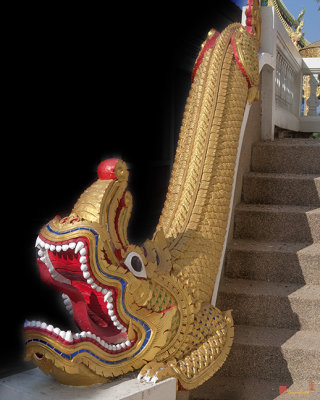 Wat Rong San Phra Wihan Makara (Sea Dragon) (DTHCM1046)