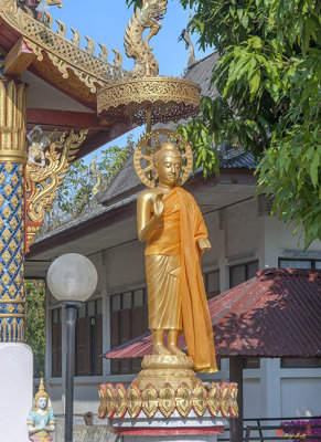 Wat Klang Thung Phra Wihan Buddha Image (DTHCM1058)