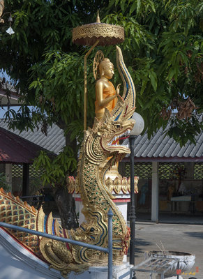 Wat Klang Thung Phra Wihan Makara and Naga (DTHCM1059)
