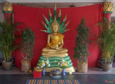 San Jao Dahmmasathan Quan Im Buddha Shrine (DTHCM1076)