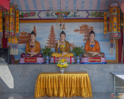 San Jao Dahmmasathan Quan Im Chinese Buddha Images (DTHCM1083)