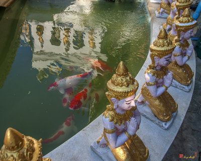 Wat Upakhut Koi Pond (DTHCM1113)