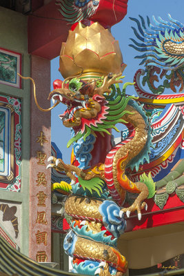San Jao Pung Tao Gong Dragon Pillar (DTHCM1145)