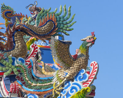 San Jao Pung Tao Gong Dragon Roof Phoenix (DTHCM1151)