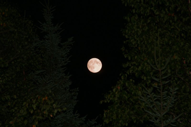 IMG_6671.jpg