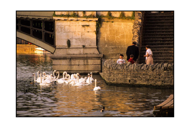 Evening at the Thames