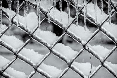 Snow on the Fence