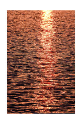 Morning Light on the Arkansas River