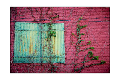 Window Dressing