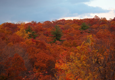 Bear Mountain