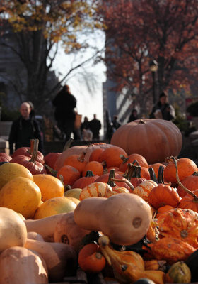 One day from the life of a farmers market