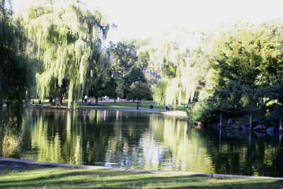 Boston Common