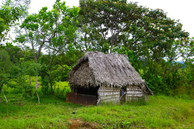 Thatched Hut 