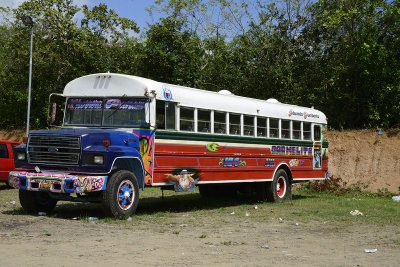 Bus