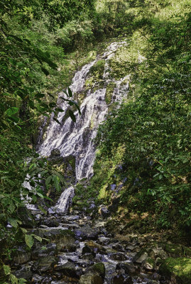 Cascade 