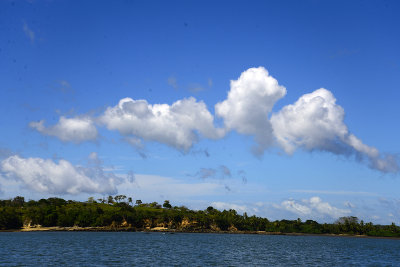 Island Shore