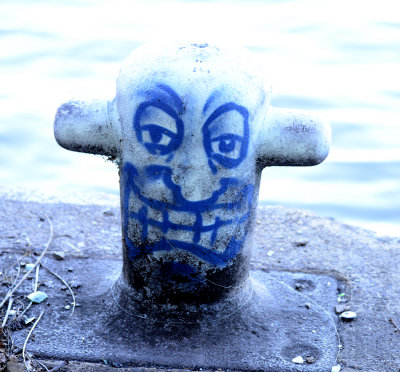 Image 21