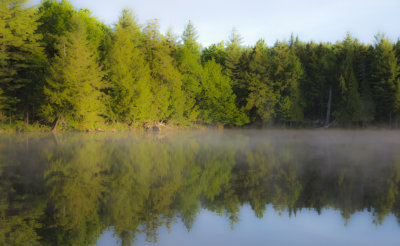 Reflection Abstract