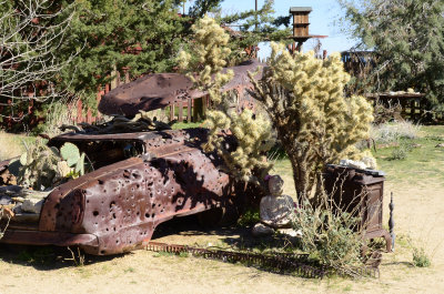 Desert Garden 5 