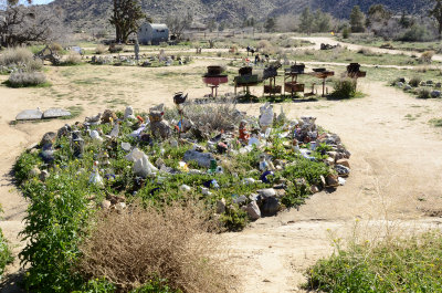 Desert Garden 