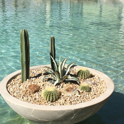 Water Garden 2 