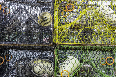 Crab Traps 