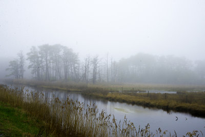 Mist over Bay 