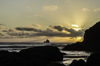 Ecola State Park 