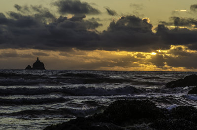 Ecola State Park 
