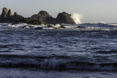 Seal Rocks 