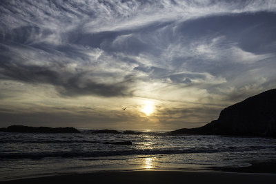 Seal Rocks