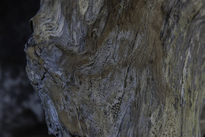 Textures