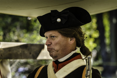 Colonial Soldier 