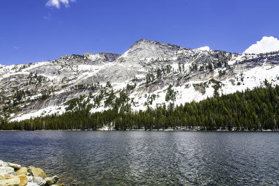 Tenaya Lake