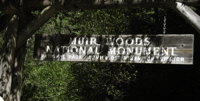 Muir Woods 