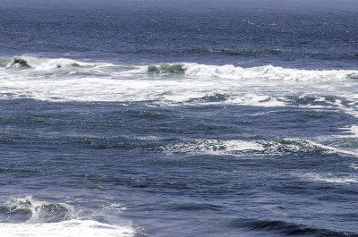 Ocean Beach 