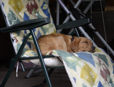 Borrowing dads chair