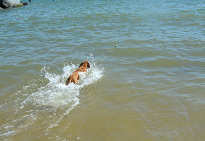 First swim