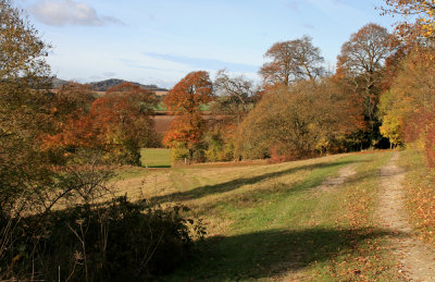 Park Wood