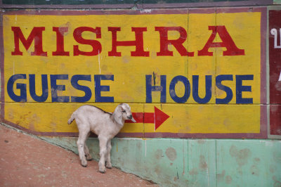 India 2011 084.jpg