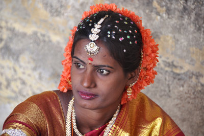 India 2011 1057.jpg