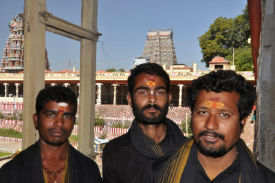 India 2011 1062.jpg