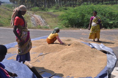 India 2011 1240.jpg