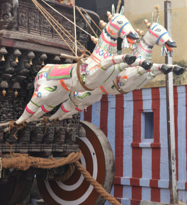 India 2011 1291.jpg