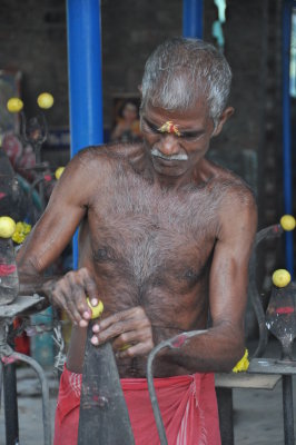 India 2011 1318.jpg