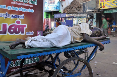 India 2011 1413.jpg