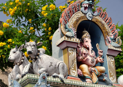 India 2011 1537.jpg