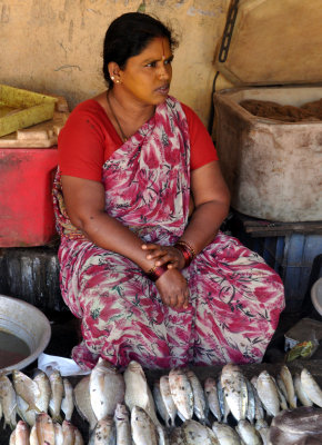 India 2011 341.jpg
