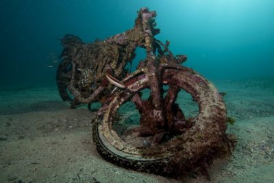 Bike of the Week